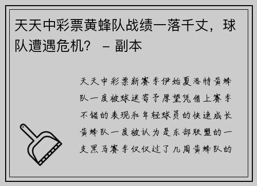 天天中彩票黄蜂队战绩一落千丈，球队遭遇危机？ - 副本