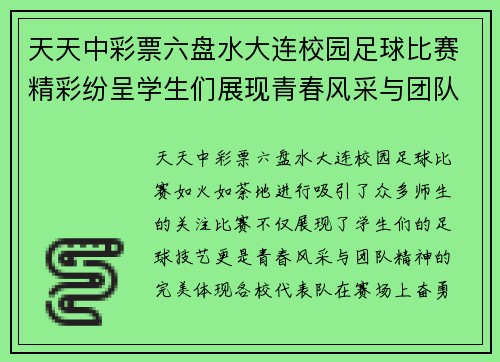 天天中彩票六盘水大连校园足球比赛精彩纷呈学生们展现青春风采与团队精神