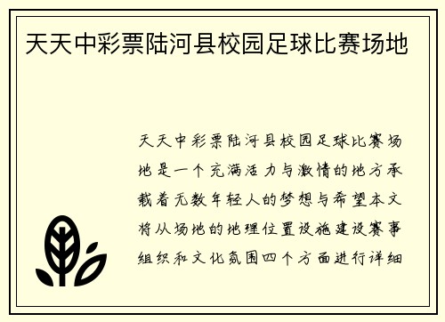 天天中彩票陆河县校园足球比赛场地